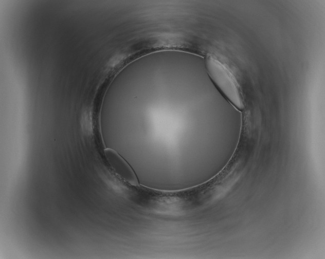 X0000113250203200909101435