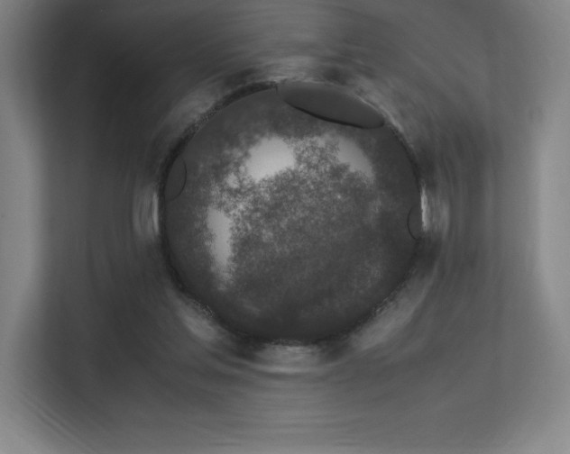 X0000113250205200909101435