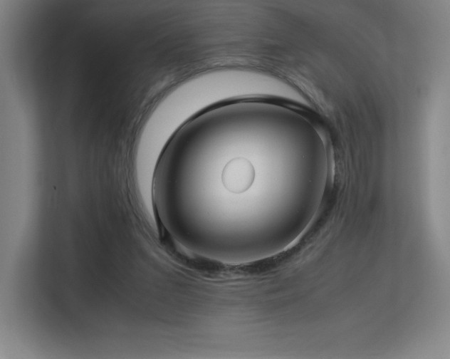 X0000113250207200909101435