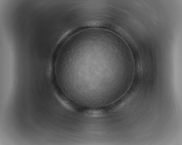 X0000113250208200909101435