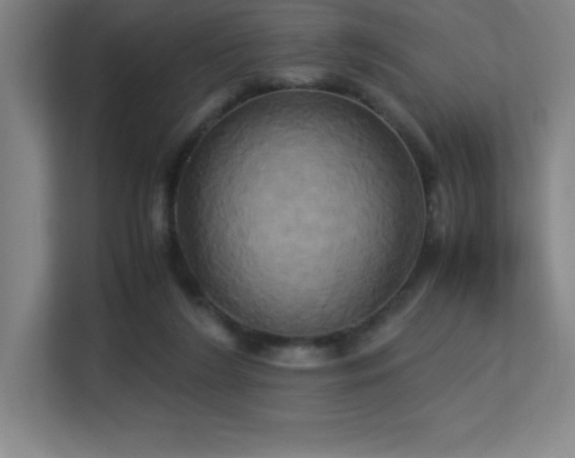 X0000113250212200909101435