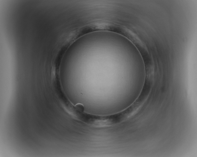 X0000113250213200909101435