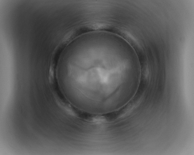 X0000113250214200909101435