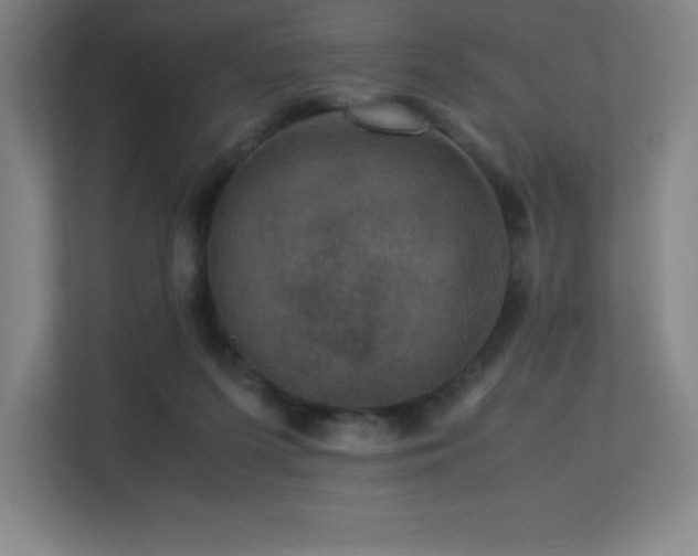 X0000113250215200909101435