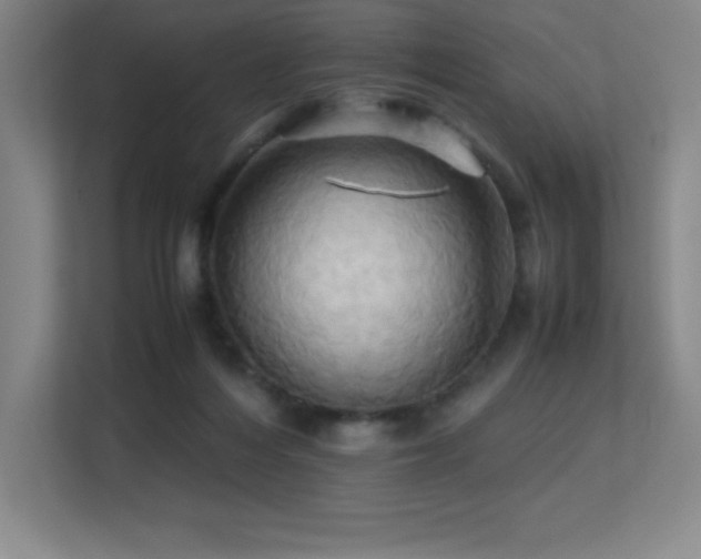 X0000113250216200909101435