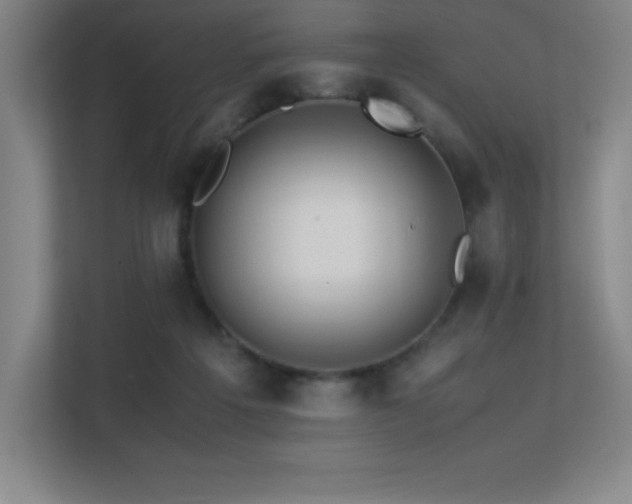 X0000113250217200909101435