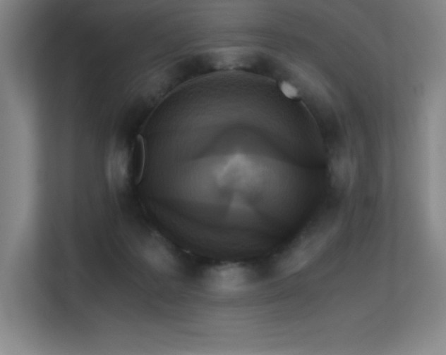 X0000113250219200909101435