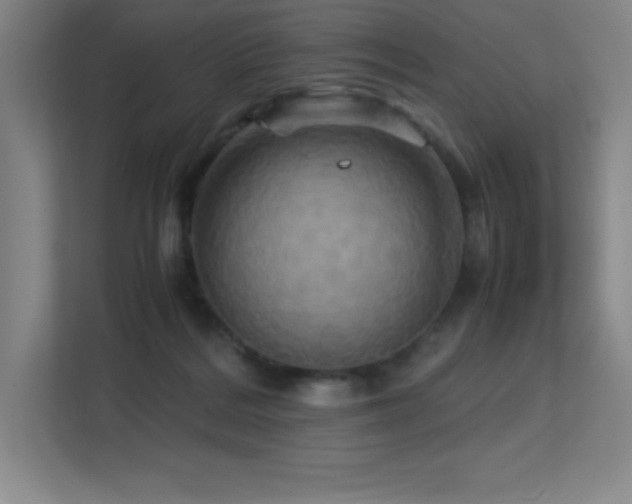 X0000113250220200909101435