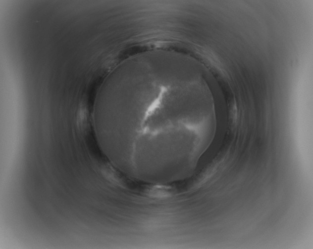 X0000113250222200909101435