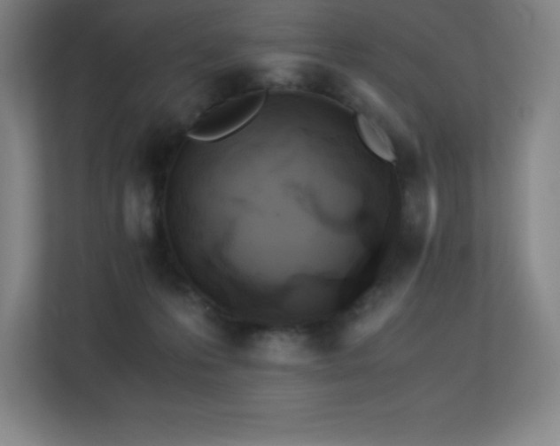 X0000113250223200909101435