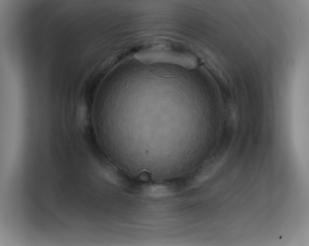 X0000113250224200909101435