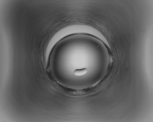 X0000113250225200909101435