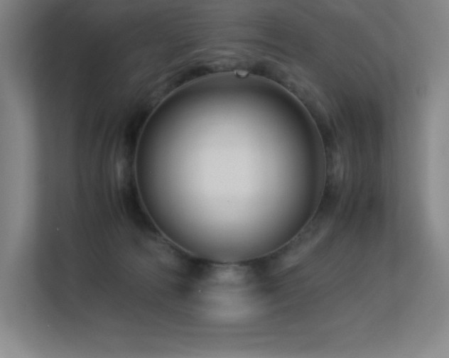 X0000113250226200909101435