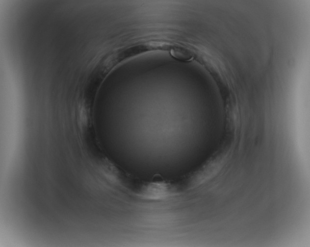 X0000113250227200909101435