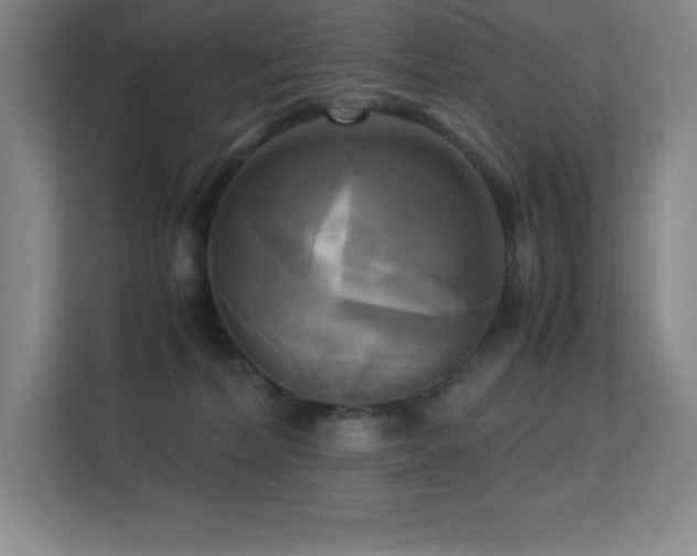 X0000113250228200909101435