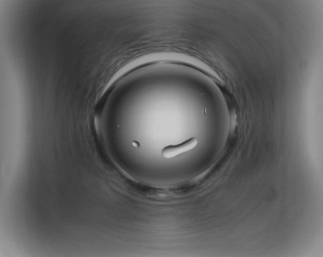X0000113250229200909101435