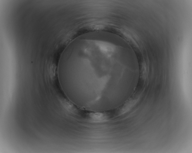X0000113250230200909101435