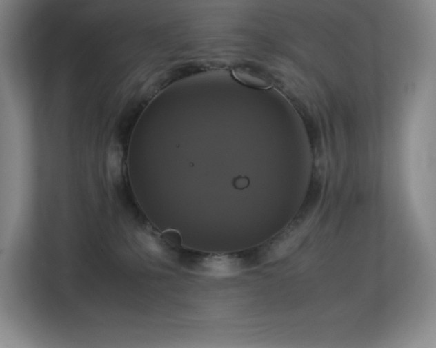 X0000113250231200909101435