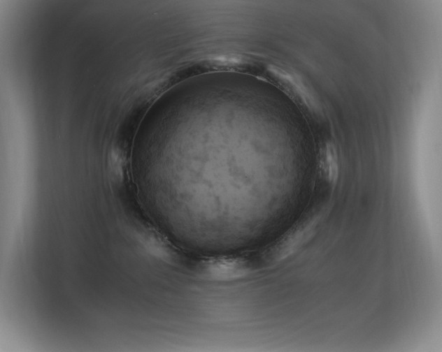 X0000113250235200909101434