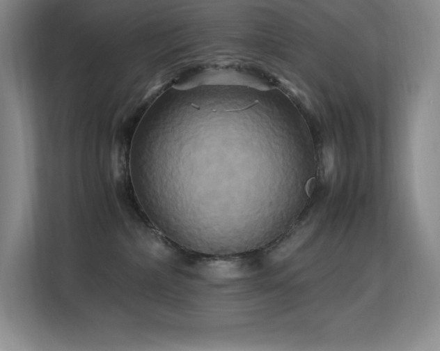 X0000113250236200909101434