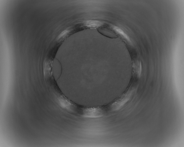 X0000113250237200909101434
