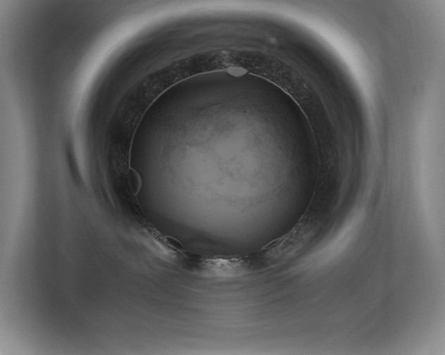 X0000113250239200909101434