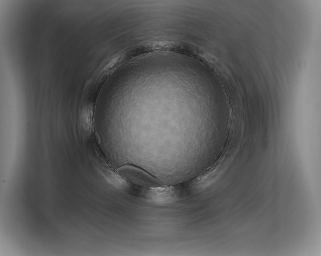 X0000113250240200909101434
