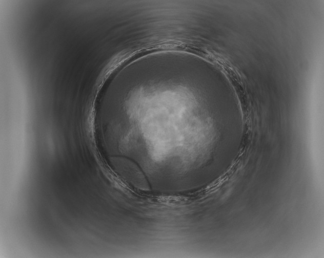 X0000113250242200909101434
