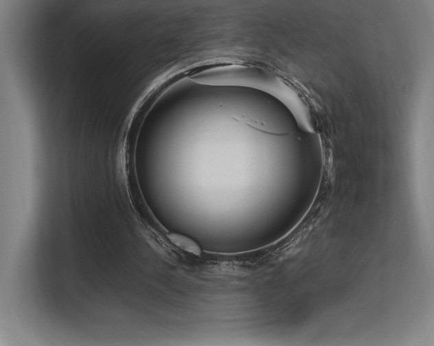 X0000113250244200909101434