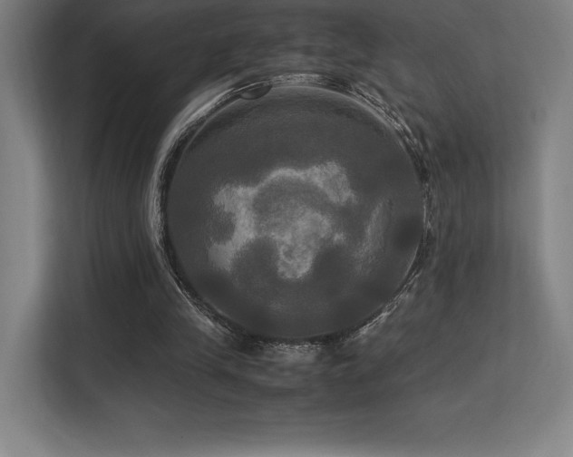 X0000113250245200909101434