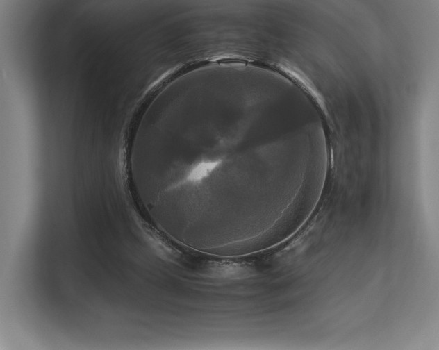 X0000113250249200909101434