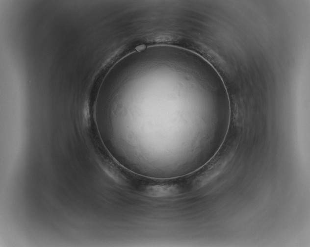 X0000113250251200909101434