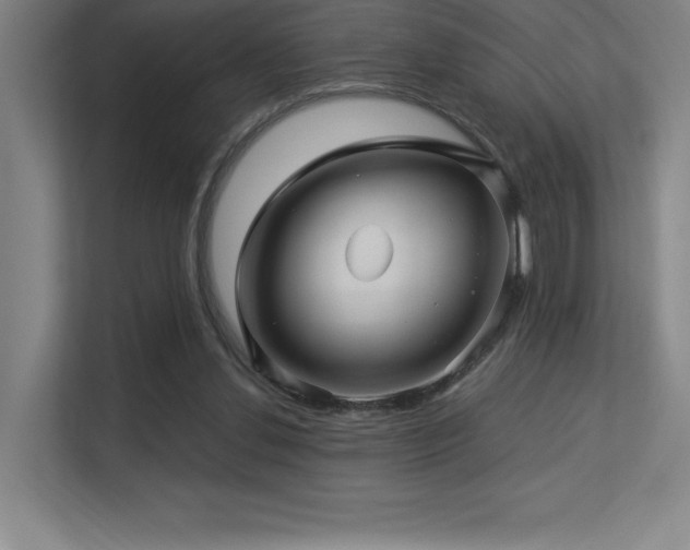 X0000113250252200909101434