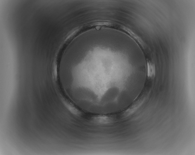 X0000113250253200909101434
