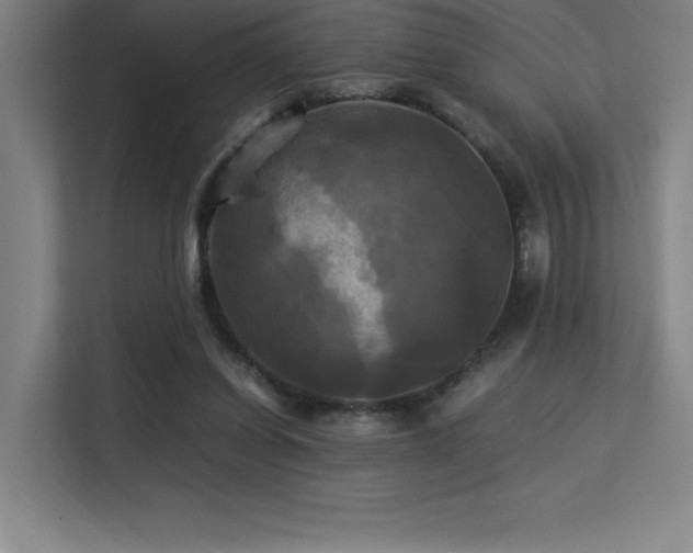 X0000113250254200909101434