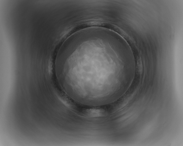 X0000113250255200909101434