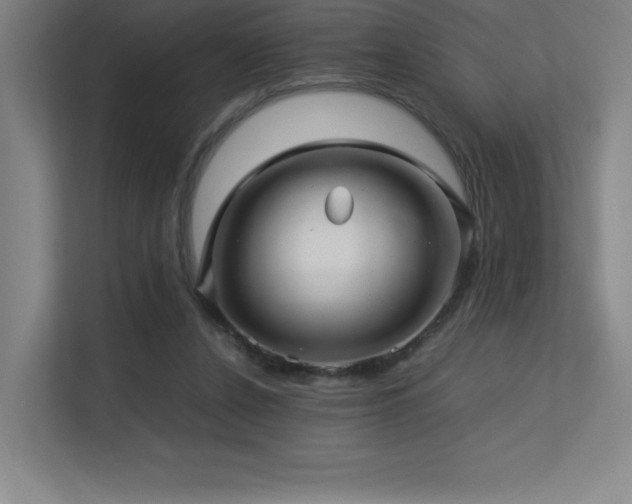 X0000113250256200909101434