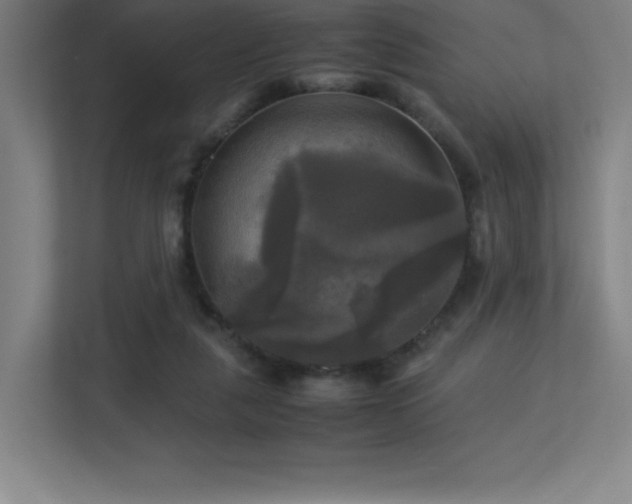X0000113250259200909101434