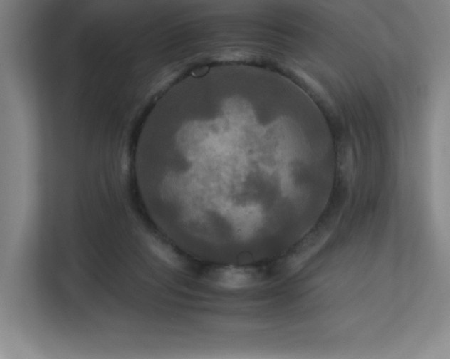 X0000113250261200909101434