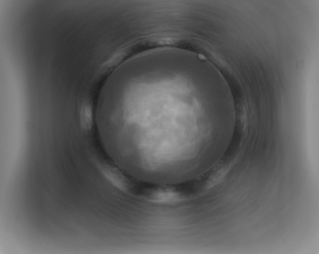 X0000113250262200909101434