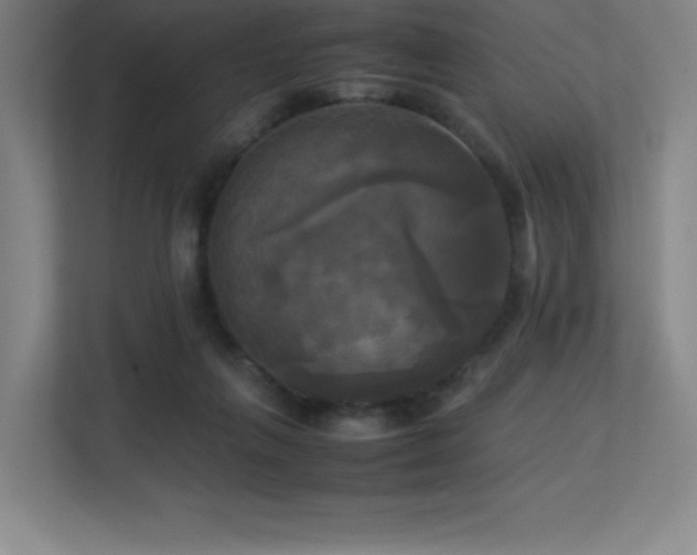 X0000113250263200909101434