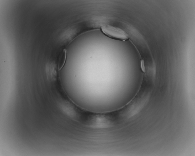 X0000113250264200909101434