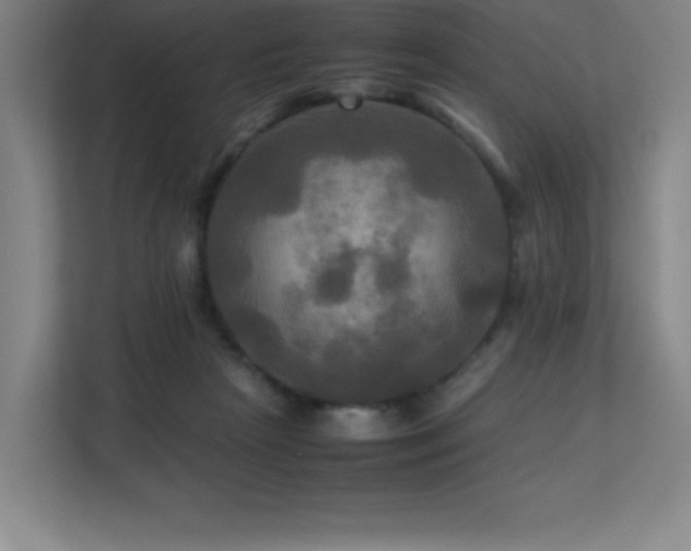 X0000113250265200909101434