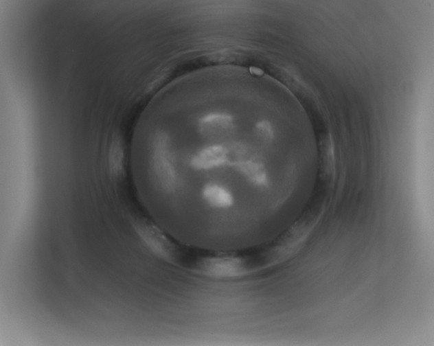 X0000113250266200909101434