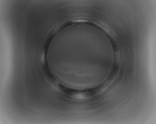 X0000113250267200909101434