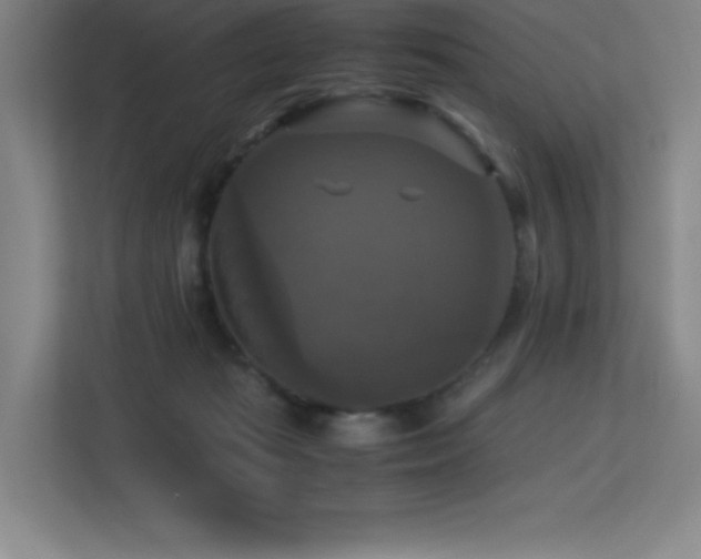 X0000113250269200909101434