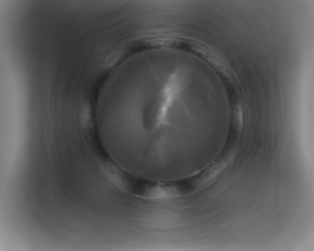 X0000113250270200909101434