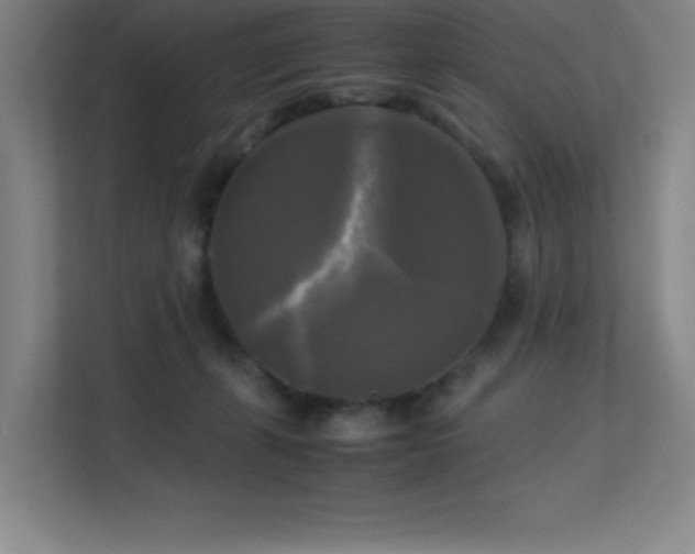 X0000113250271200909101434