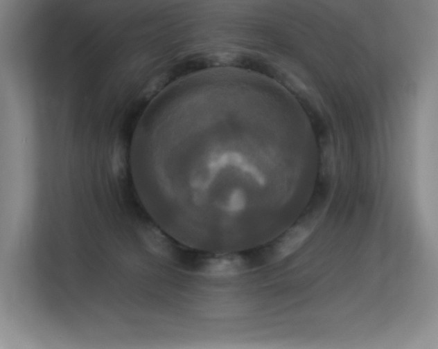 X0000113250274200909101434
