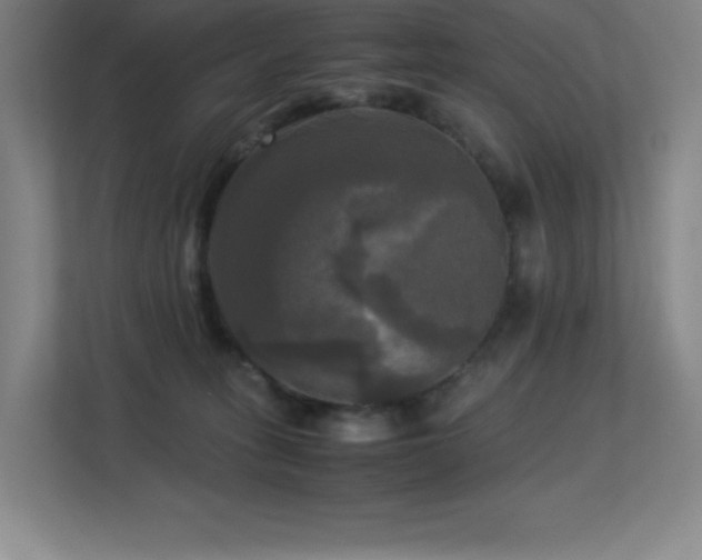 X0000113250275200909101434